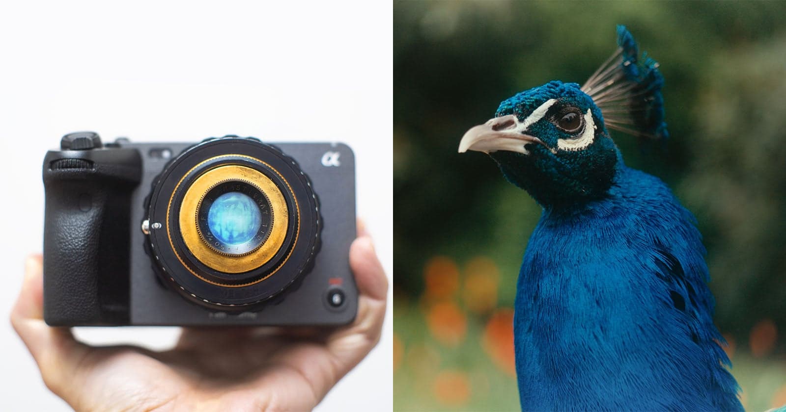 When Is a 100-Year-Old Lens Better Than Modern Glass?