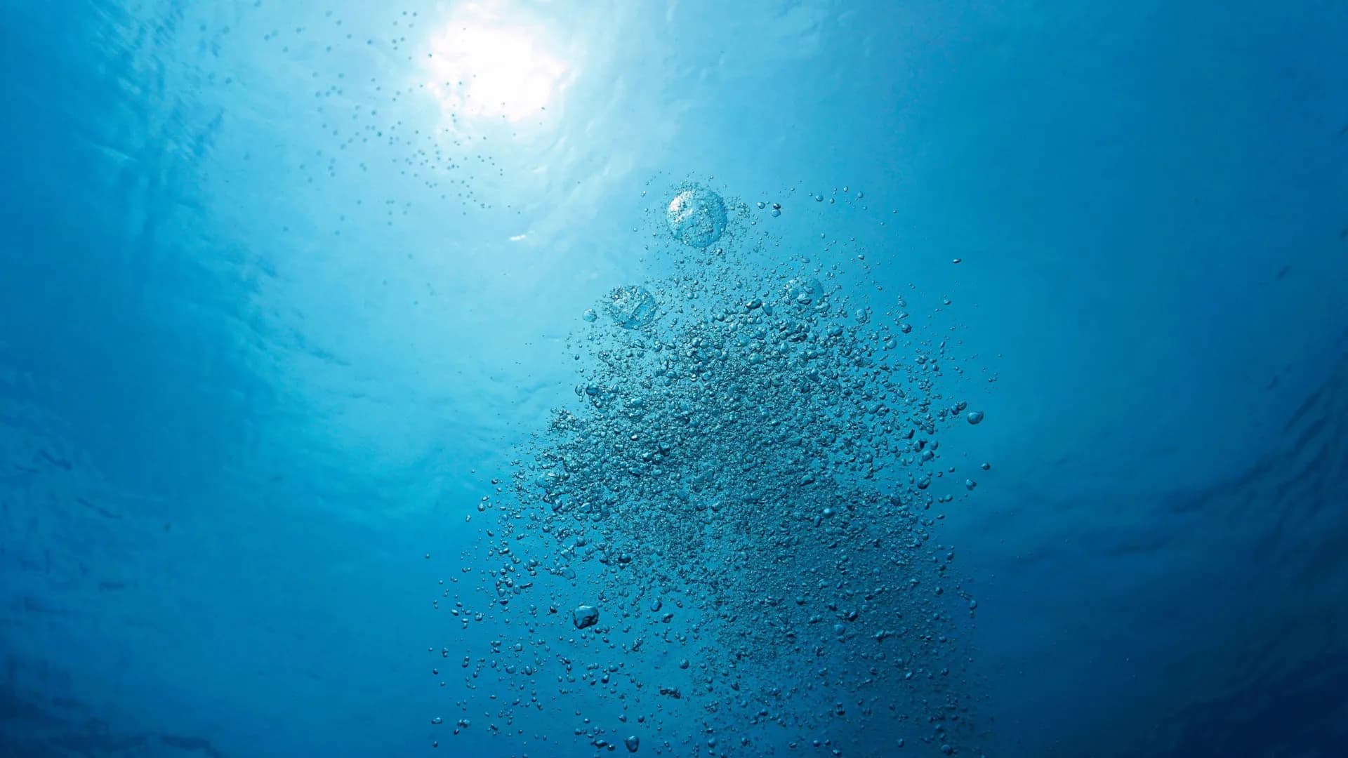 The oxygen you breathe depends on a tiny ocean ingredient