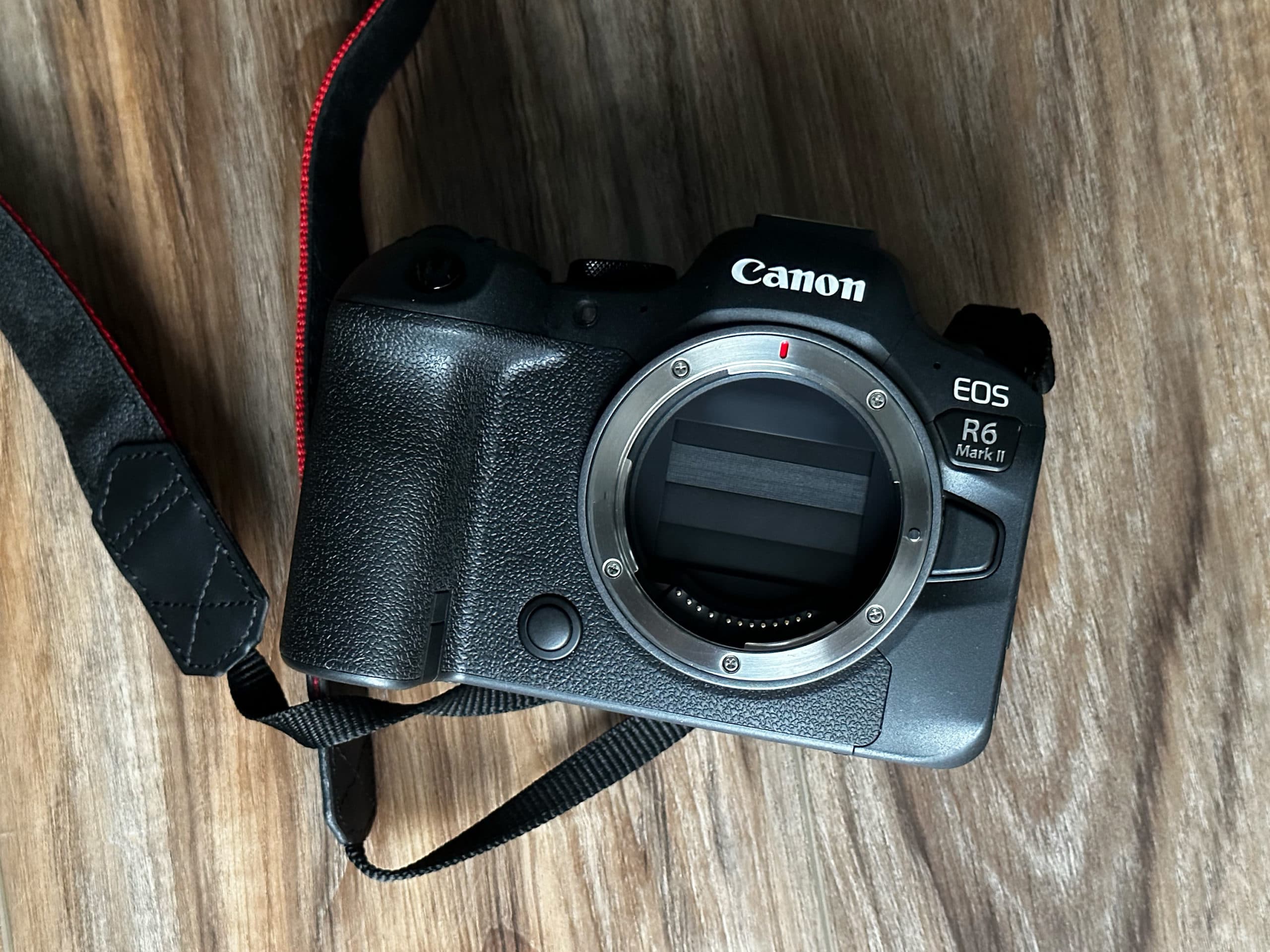 3 Reasons Why This Canon Camera is The Most Used Device on Flickr